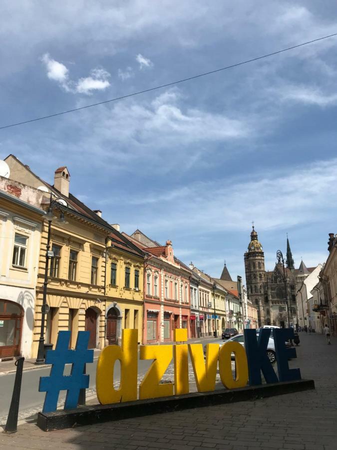 Duomo apartment Košice Eksteriør billede
